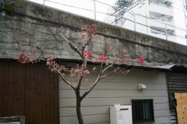 Fabian Hammerl Photographie