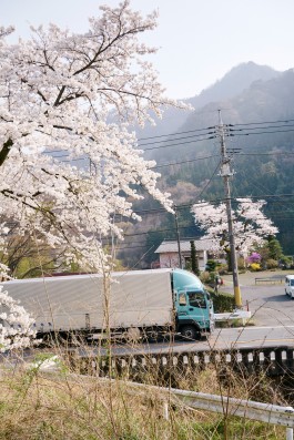 Fabian Hammerl Photographie