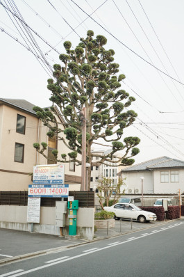 Fabian Hammerl Photographie